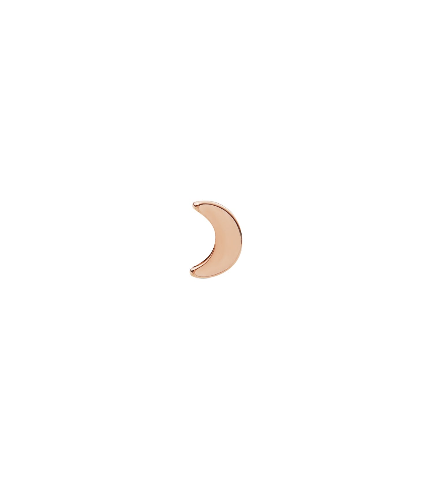Daniel Wellington rose gold earrings with an elegant design, front view displaying intricate details and luxurious appeal.