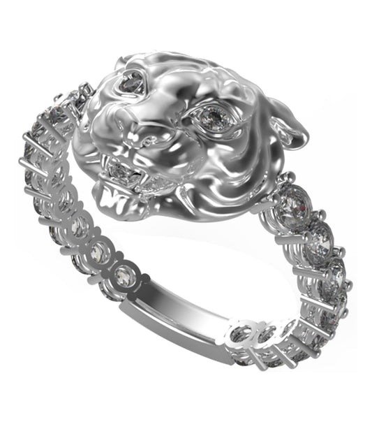 Women Daktari Ring Silver Steel